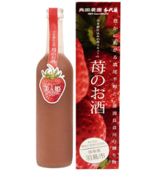 日本酒仕込み　苺のお酒